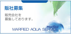 ̎ЕW