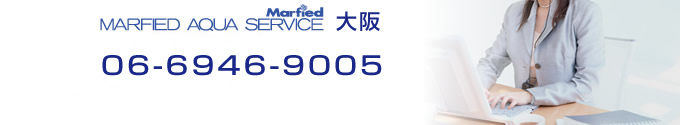 db@06-6946-9005